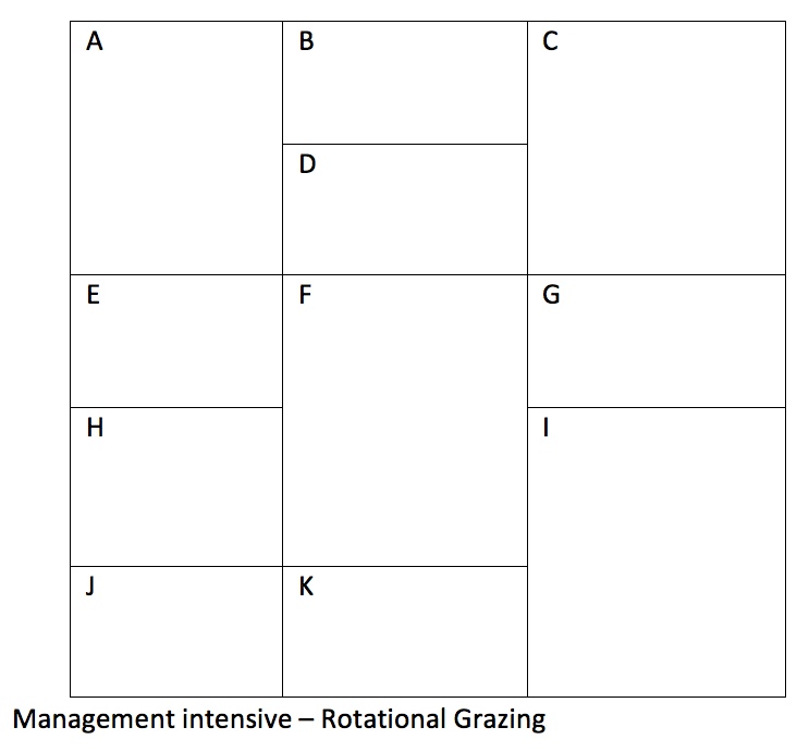 Management Intensive.jpg